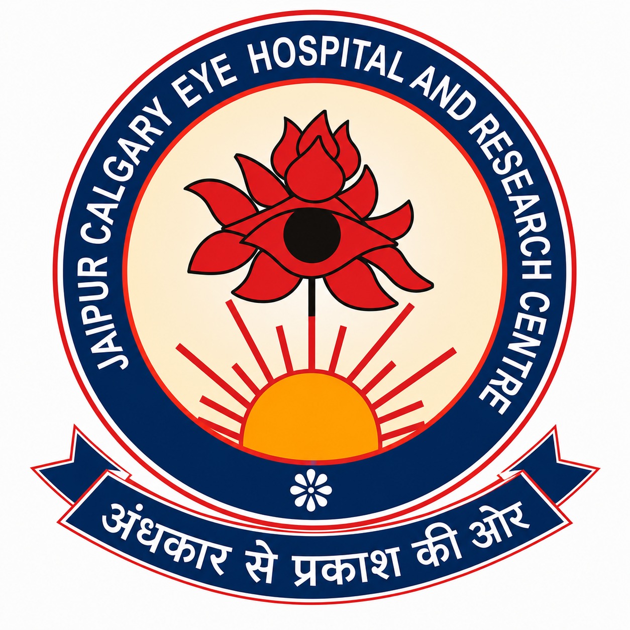 Jaipur Cat Gray Eye Hospital